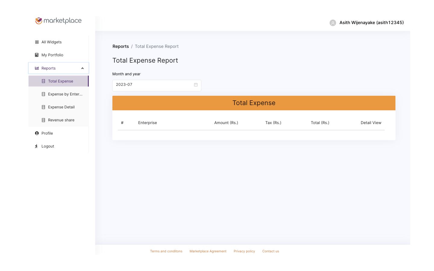 Beta reports view with an empty Total Expense table